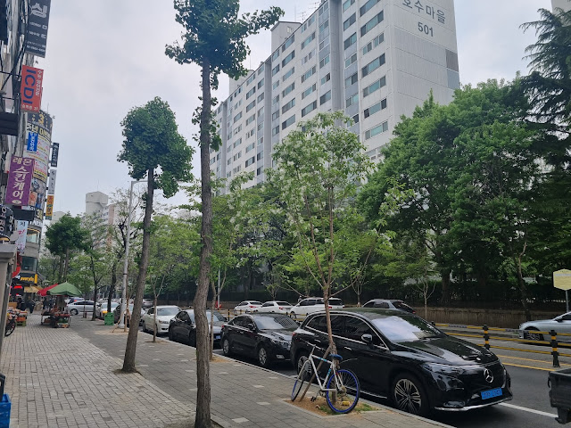 작명소 건물 앞 대로변